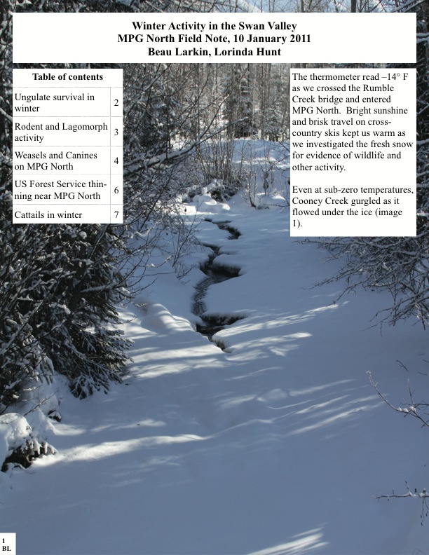 Wi The thermometer read –14° F as we crossed the Rumble Creek bridge and entered MPG North. Bright sunshine and brisk travel on cross- country skis kept us warm as we investigated the fresh snow for evidence of wildlife and other activity.nter Activity in the Swan Valley MPG North Field Note, 10 January 2011 Beau Larkin, Lorinda Hunt Wi The thermometer read –14° F as we crossed the Rumble Creek bridge and entered MPG North. Bright sunshine and brisk travel on cross- country skis kept us warm as we investigated the fresh snow for evidence of wildlife and other activity.nter Activity in the Swan Valley MPG North Field Note, 10 January 2011 Beau Larkin, Lorinda Hunt