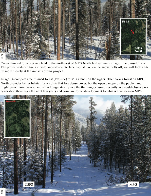Crews thinned forest service land to the northwest of MPG North last summer (image 13 and inset map). The project reduced fuels in wildland-urban-interface habitat. When the snow melts off, we will look a lit- tle more closely at the impacts of this project. Crews thinned forest service land to the northwest of MPG North last summer (image 13 and inset map). The project reduced fuels in wildland-urban-interface habitat. When the snow melts off, we will look a lit- tle more closely at the impacts of this project.