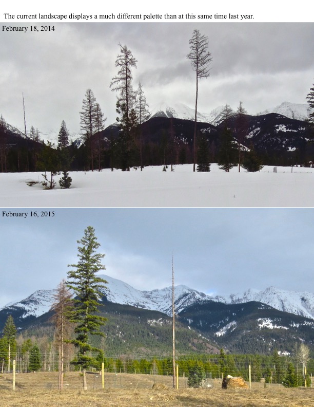 The current landscape displays a much different palette than at this same time last year. The current landscape displays a much different palette than at this same time last year.