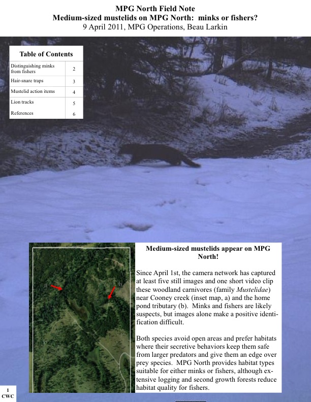 MPG North Field Note Medium-sized mustelids on MPG North: minks or fishers? 9 April 2011, MPG Operations, Beau Larkin MPG North Field Note Medium-sized mustelids on MPG North: minks or fishers? 9 April 2011, MPG Operations, Beau Larkin