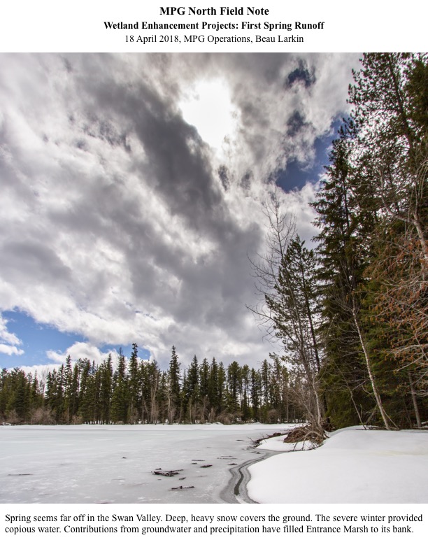 Spring seems far off in the Swan Valley. Deep, heavy snow covers the ground. The severe winter provided copious water. Contributions from groundwater and precipitation have filled Entrance Marsh to its bank. Spring seems far off in the Swan Valley. Deep, heavy snow covers the ground. The severe winter provided copious water. Contributions from groundwater and precipitation have filled Entrance Marsh to its bank.