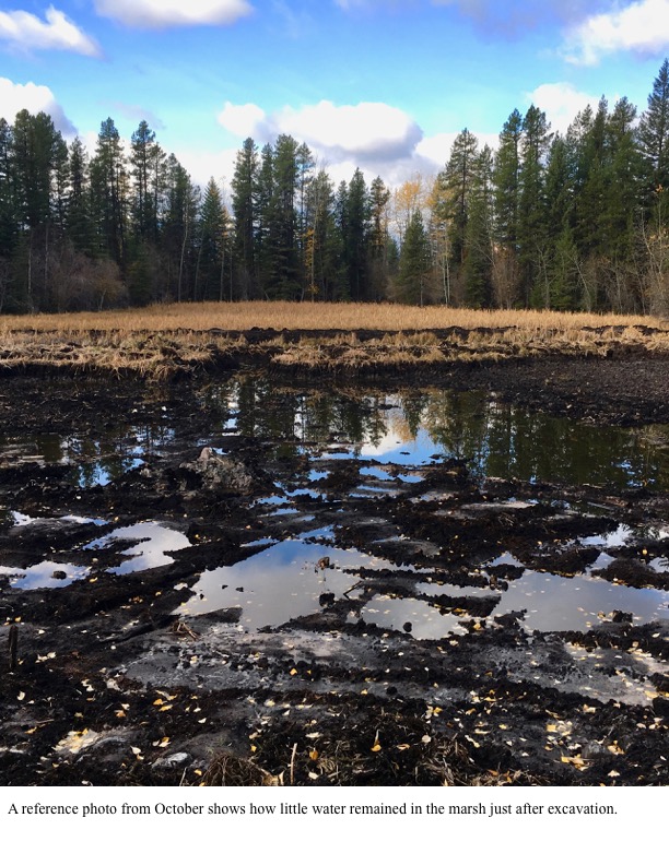 A reference photo from October shows how little water remained in the marsh just after excavation. A reference photo from October shows how little water remained in the marsh just after excavation.