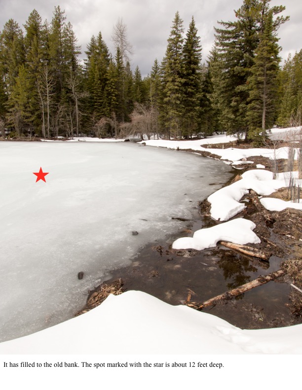 It has filled to the old bank. The spot marked with the star is about 12 feet deep. It has filled to the old bank. The spot marked with the star is about 12 feet deep.
