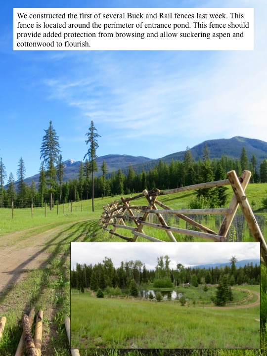 We constructed the first of several Buck and Rail fences last week. We constructed the first of several Buck and Rail fences last week.