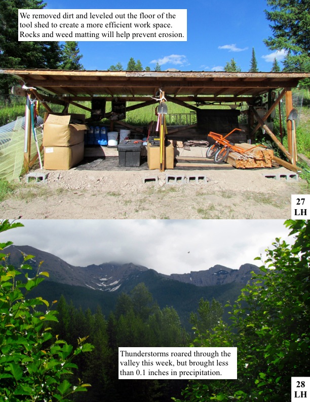 We removed dirt and leveled out the floor of the tool shed to create a more efficient work space. Rocks and weed matting will help prevent erosion.Thunderstorms roared through the valley this week, but brought less than 0.1 inches in precipitation. We removed dirt and leveled out the floor of the tool shed to create a more efficient work space. Rocks and weed matting will help prevent erosion.Thunderstorms roared through the valley this week, but brought less than 0.1 inches in precipitation.