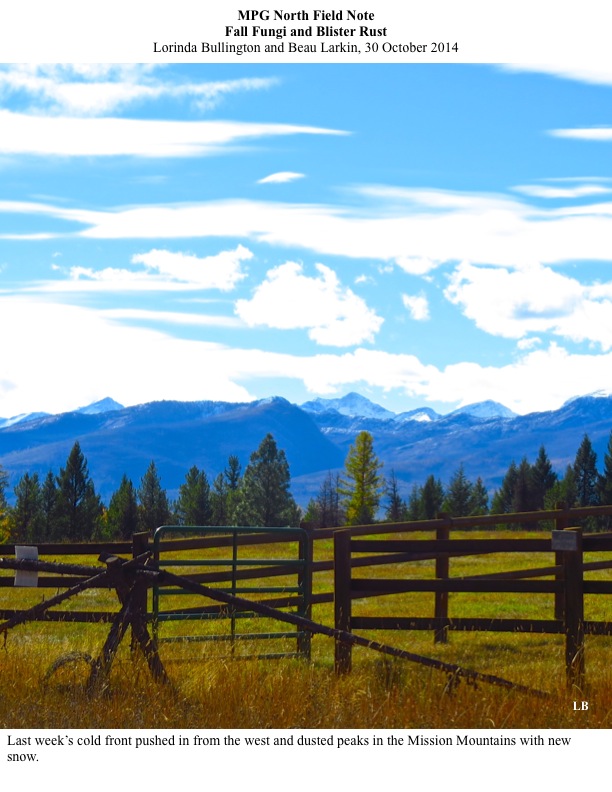 Last week’s cold front pushed in from the west and dusted peaks in the Mission Mountains with new snow. Last week’s cold front pushed in from the west and dusted peaks in the Mission Mountains with new snow.