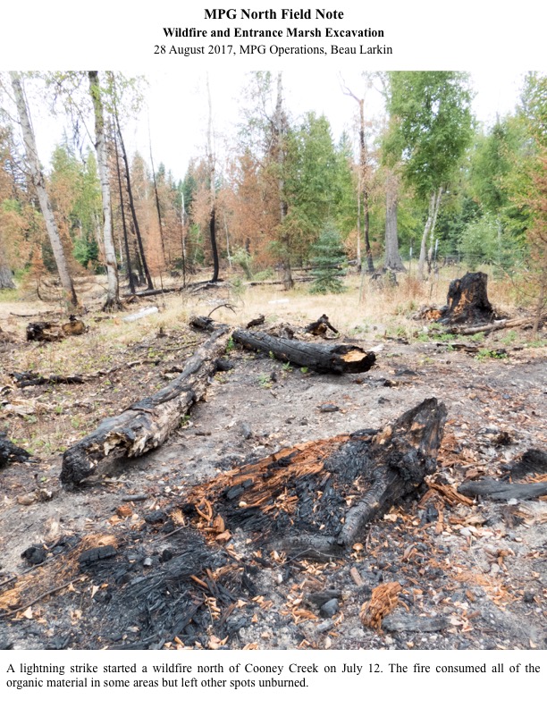 A lightning strike started a wildfire north of Cooney Creek on July 12. The fire consumed all of the organic material in some areas but left other spots unburned. A lightning strike started a wildfire north of Cooney Creek on July 12. The fire consumed all of the organic material in some areas but left other spots unburned.