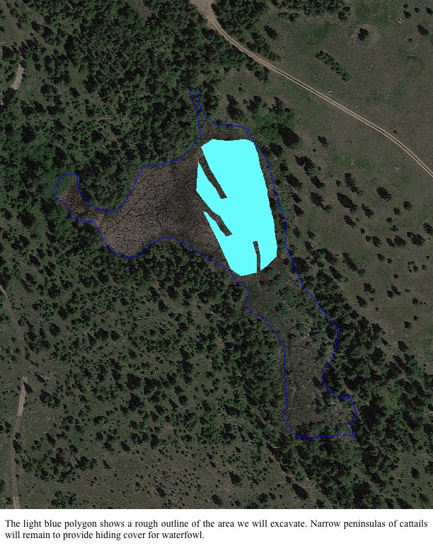The light blue polygon shows a rough outline of the area we will excavate. Narrow peninsulas of cattails will remain to provide hiding cover for waterfowl. The light blue polygon shows a rough outline of the area we will excavate. Narrow peninsulas of cattails will remain to provide hiding cover for waterfowl.