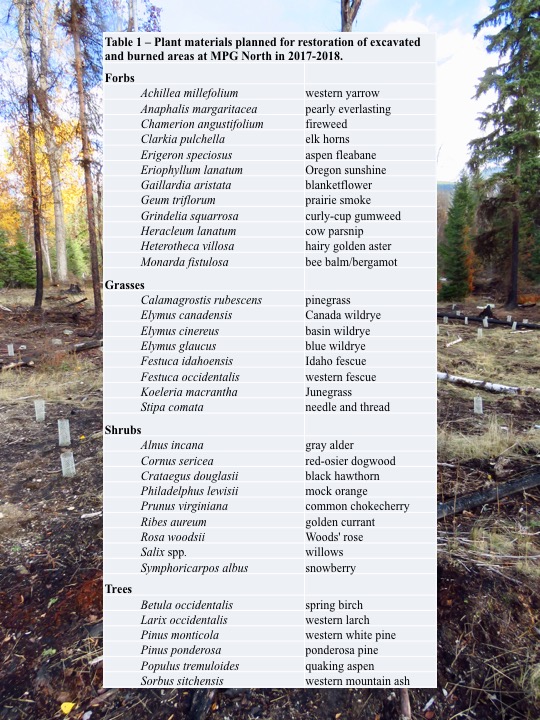 Plant materials planned for restoration of excavated and burned areas at MPG North in 2017-2018. Plant materials planned for restoration of excavated and burned areas at MPG North in 2017-2018.